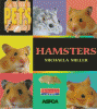 Hamsters