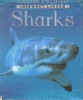 Sharks