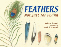Feathers : not just for flying