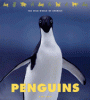 Penguins