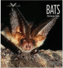 Bats