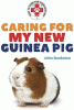 Caring for my new guinea pig