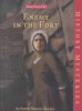 Enemy in the Fort