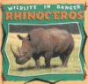 Rhinoceros