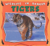 Tigers