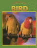 Caring for your bird