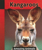 Kangaroos