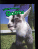 Goats