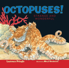 Octopuses! : strange and wonderful
