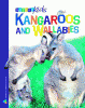 Australian kangaroos and wallabies