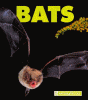 Bats