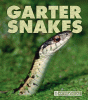 Garter snakes