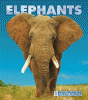 Elephants