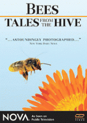 Bees tales from the hive