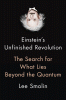 Einstein's unfinished revolution : the search for what lies beyond the quantum