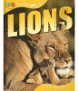 Lions