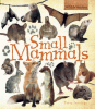 Small mammals