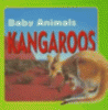 Kangaroos