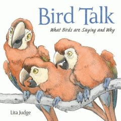Bird talk : what birds are saying and why