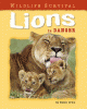 Lions in danger