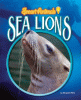 Sea lions