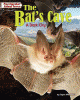 The bat's cave : a dark city