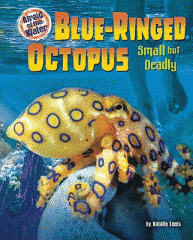 Blue-ringed octopus : small but deadly