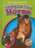 Caring for your horse