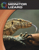 Monitor lizard