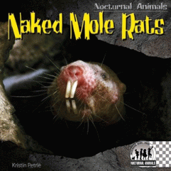 Naked mole rats