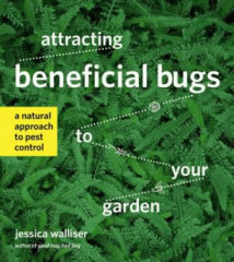 Attracting beneficial bugs to your garden : a natural approach to pest control