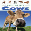 Cows