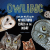 Owling : enter the world of the mysterious birds of the night
