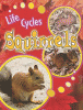 Squirrels