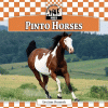 Pinto horses