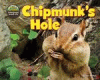 Chipmunk's hole