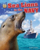 Sea lions in the Navy