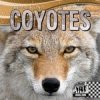 Coyotes