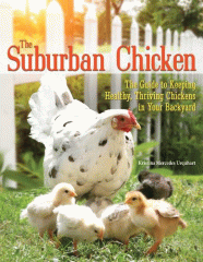 The suburban chicken : the guide to keeping healthy, thriving chickens in your backyard