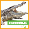 Crocodiles