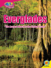 The Everglades : the largest marsh in the United States