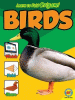 Learn to fold origami. Birds