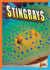 Stingrays