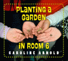 Planting a garden in room 6 : from seeds to salad