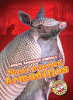 Nine-banded armadillos