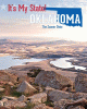 Oklahoma : the sooner state