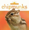 Chipmunks.