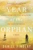 Year of the orphan : a novel