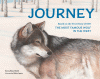 Journey : based on the true story of OR7, the most famous wolf in the West