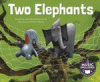 Two elephants